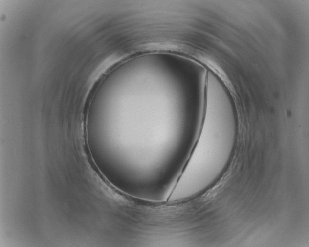 X0000073710992200608031235