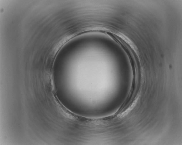 X0000073710993200608031235