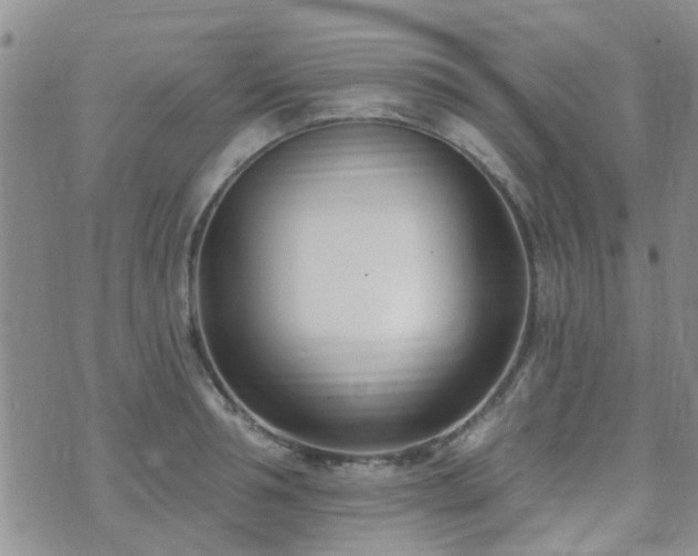 X0000073710994200608031235