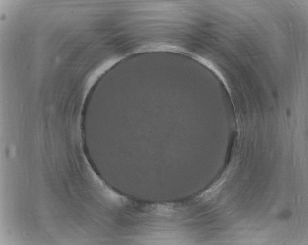 X0000073710995200608031235