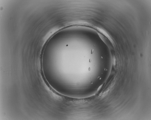 X0000073710999200608031235