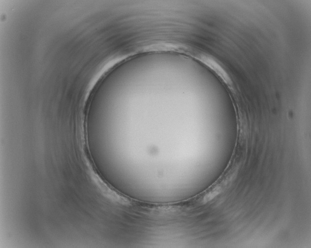 X0000073711000200608031235