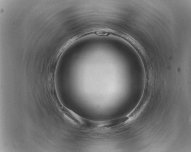 X0000073711001200608031235