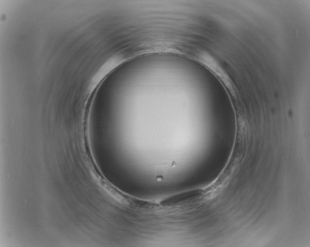 X0000073711002200608031235