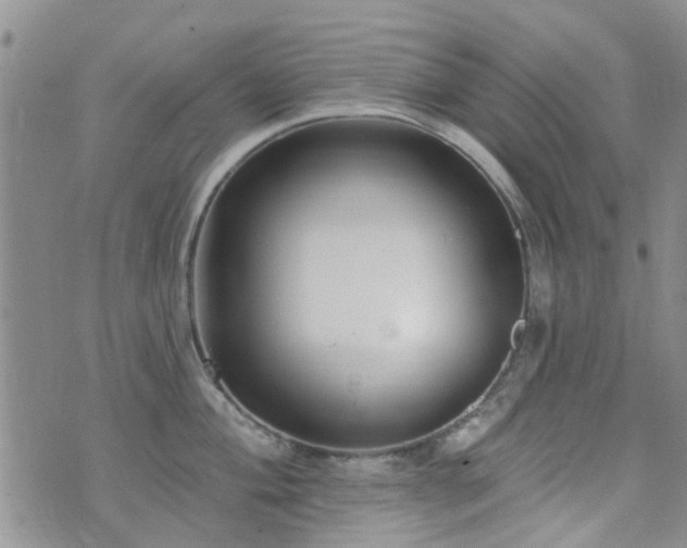 X0000073711004200608031235