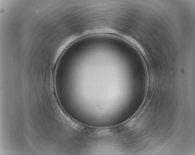 X0000073711006200608031235