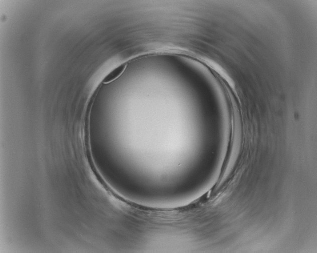 X0000073711007200608031235