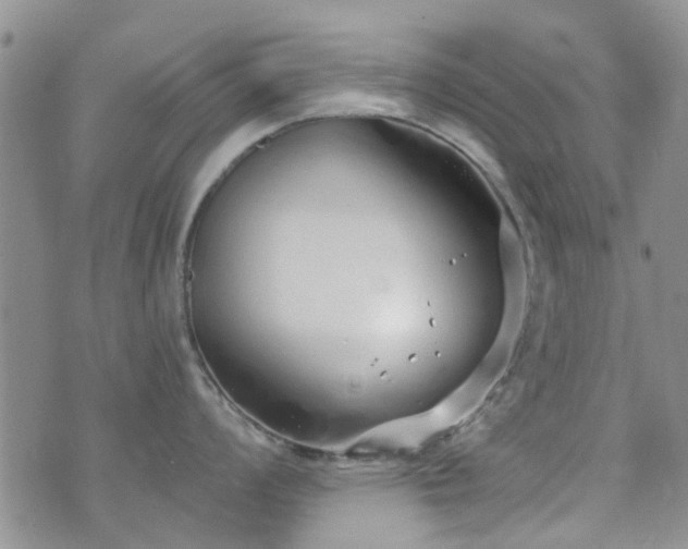 X0000073711008200608031235