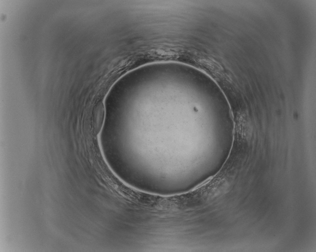 X0000073711009200608031234