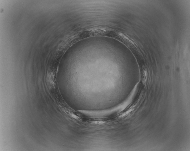 X0000073711010200608031234