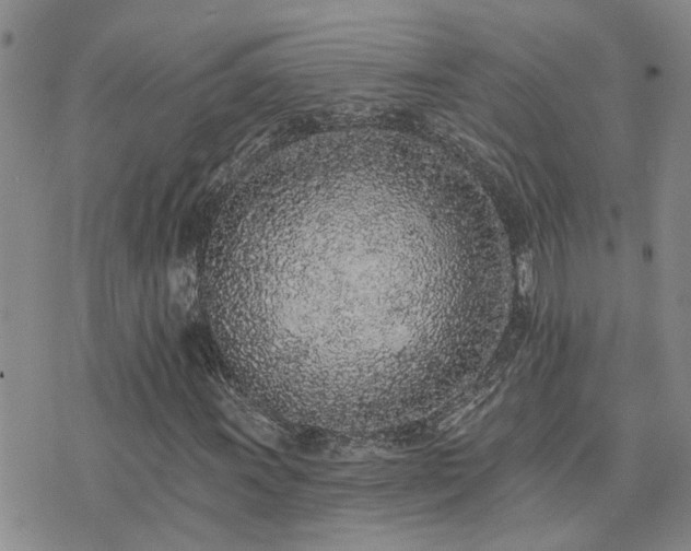 X0000073711011200608031234