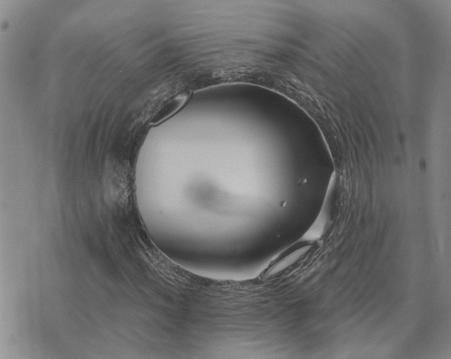 X0000073711012200608031234