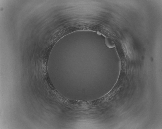 X0000073711013200608031234