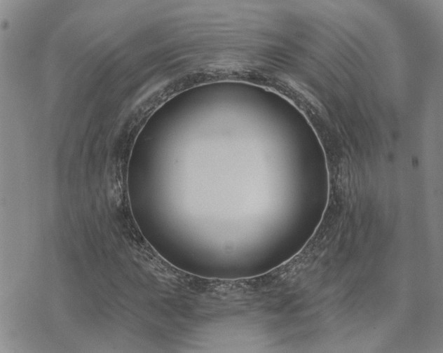 X0000073711015200608031234