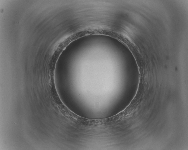 X0000073711016200608031234