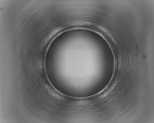 X0000073711017200608031234