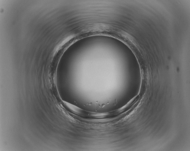 X0000073711018200608031234