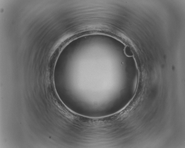 X0000073711019200608031234