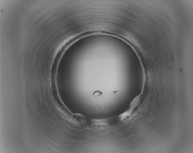 X0000073711020200608031234