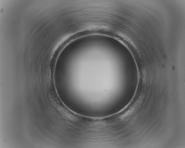 X0000073711021200608031234