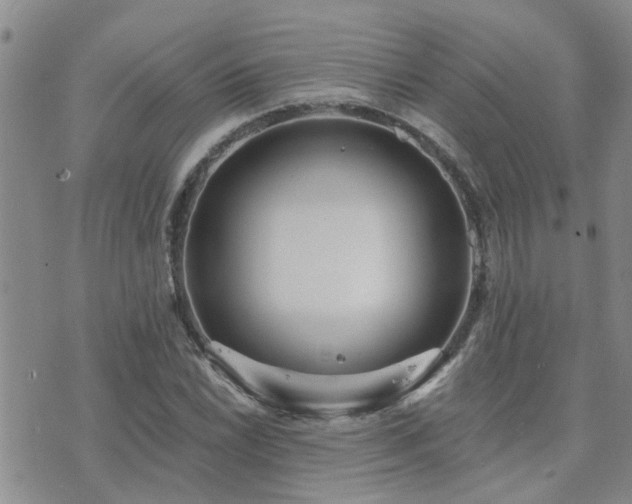 X0000073711022200608031234