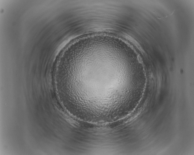 X0000073711023200608031234