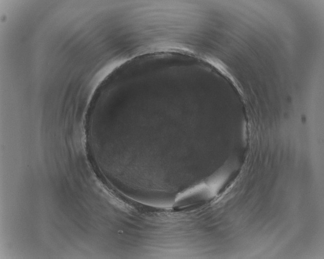 X0000073711024200608031234