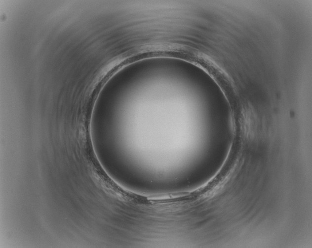 X0000073711025200608031234