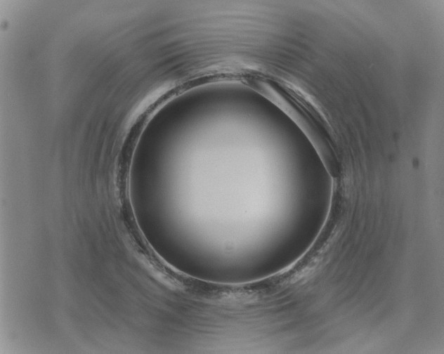 X0000073711026200608031234