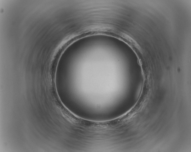 X0000073711027200608031234