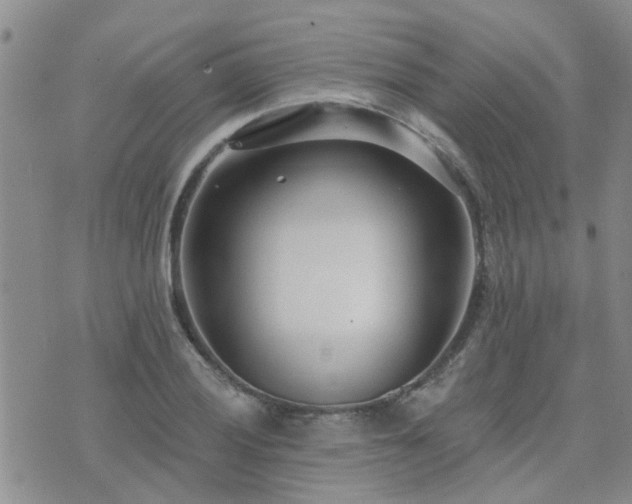 X0000073711028200608031234