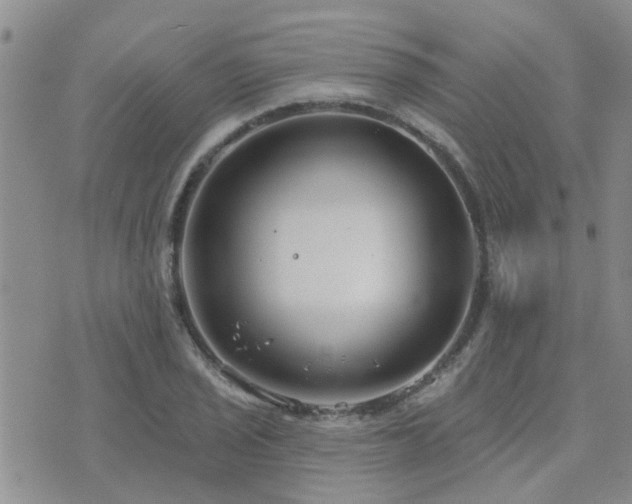 X0000073711029200608031234