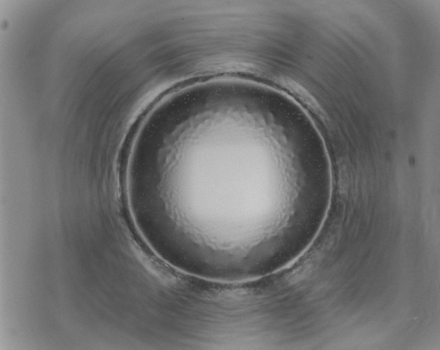 X0000073711031200608031234