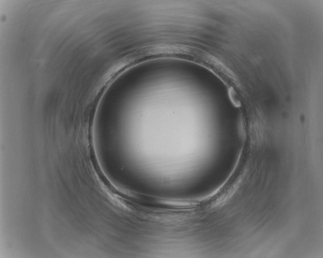 X0000073711033200608031234