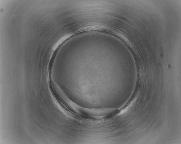 X0000073711034200608031234