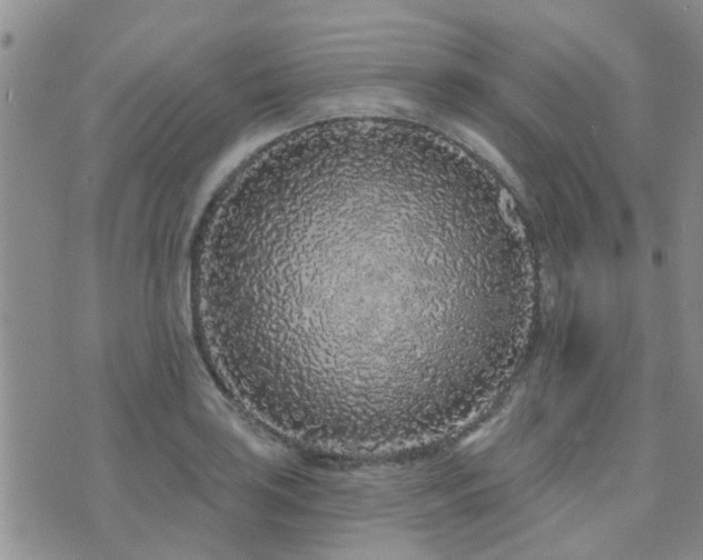 X0000073711035200608031234