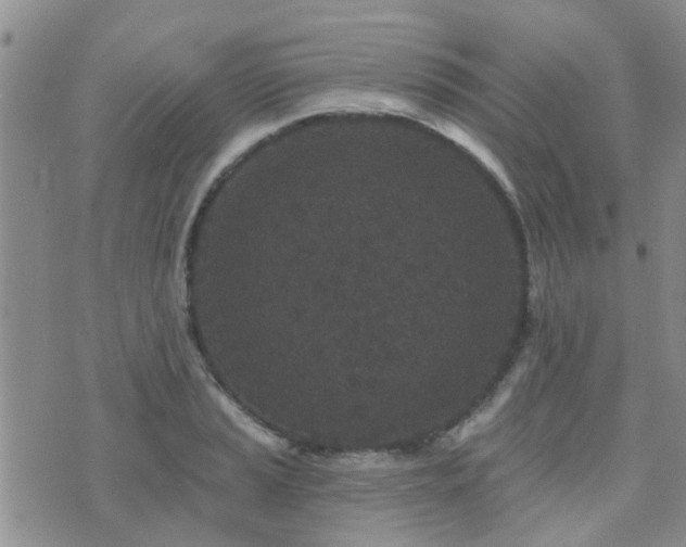 X0000073711037200608031234