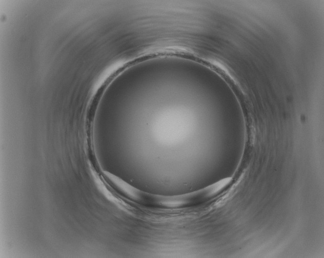 X0000073711038200608031234