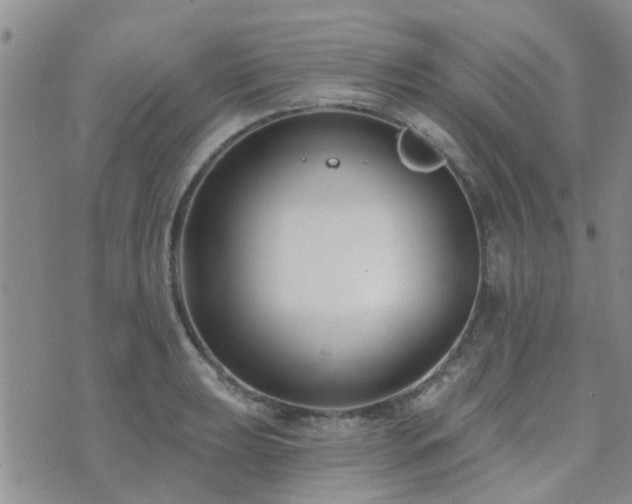 X0000073711039200608031234