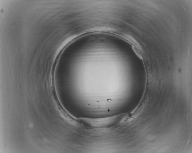 X0000073711044200608031234