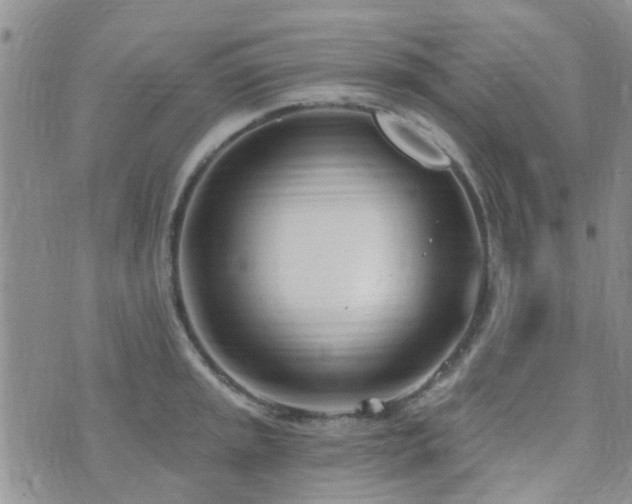 X0000073711045200608031234