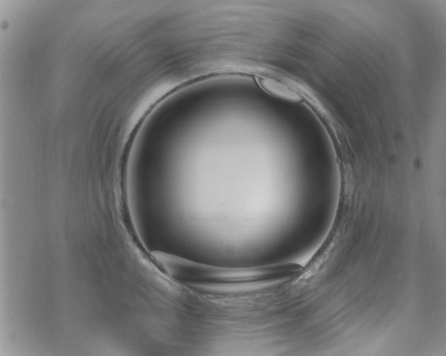 X0000073711048200608031235