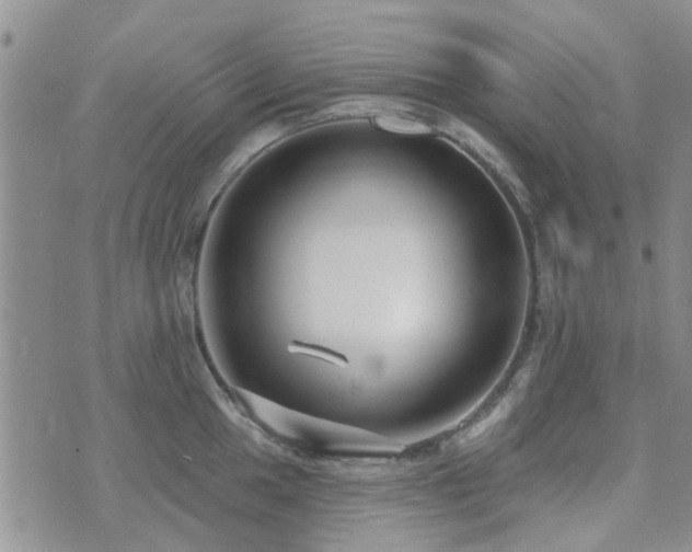 X0000073711049200608031235