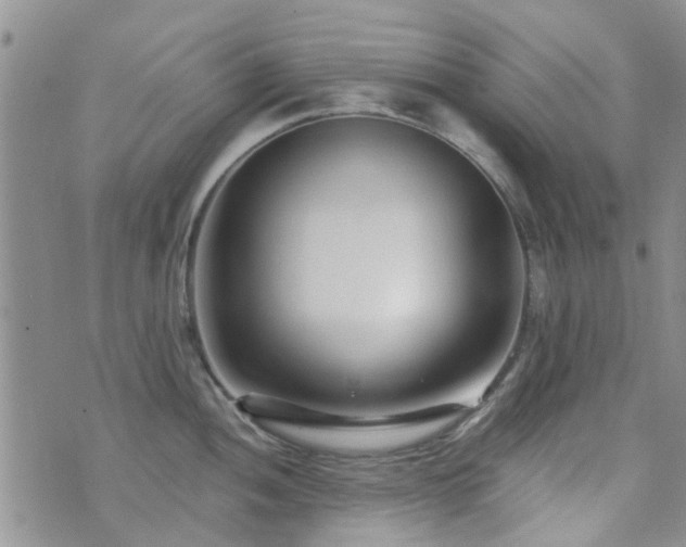 X0000073711052200608031235