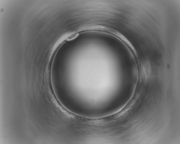 X0000073711053200608031235