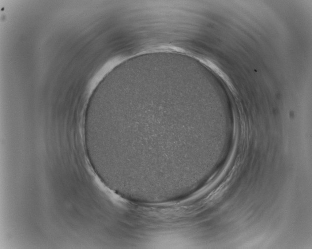 X0000073711054200608031235