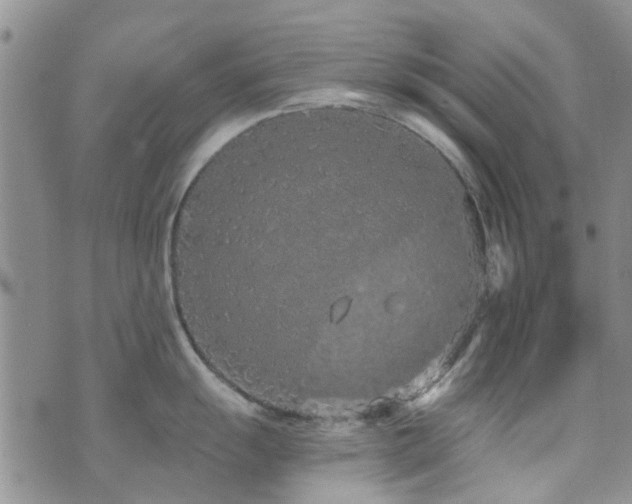 X0000073711055200608031235