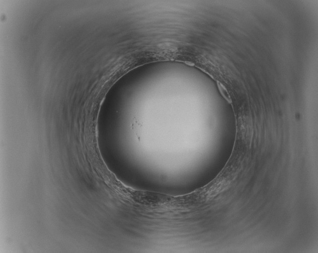 X0000073711057200608031234