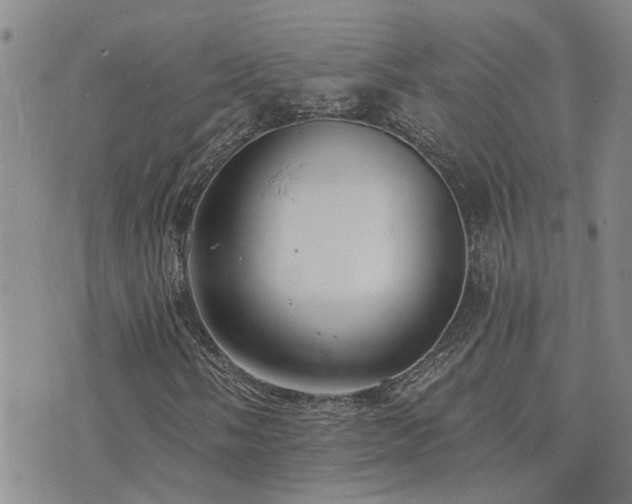 X0000073711058200608031234