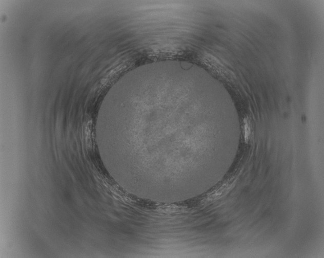 X0000073711059200608031234